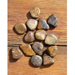 Bronzite