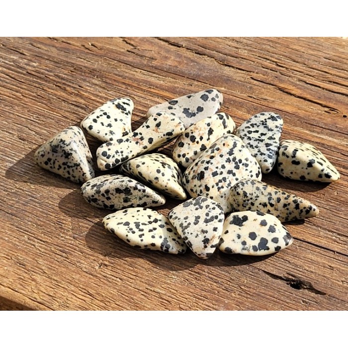 Jaspe Dalmatien
