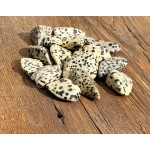 Jaspe Dalmatien