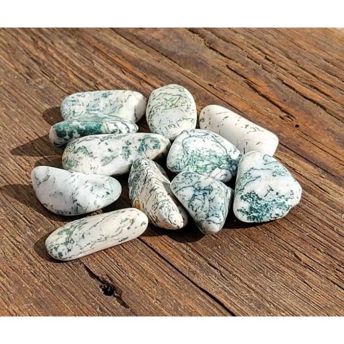 Agate Arbre